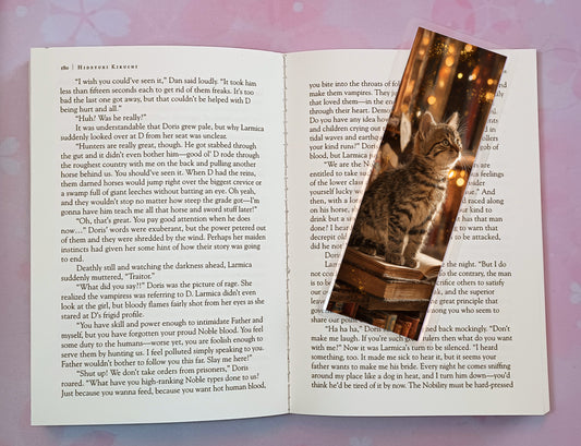 Cats Kittens Library Books Bookmark Novel Book