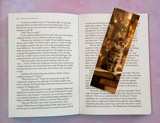 Cats Kittens Library Books Bookmark Novel Book